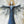 Load image into Gallery viewer, "Angel of Praise II"
