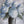 Load image into Gallery viewer, Painting Hydrangea Flowers Workshop / March 8, 2025