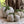 Load image into Gallery viewer, Mom & Me CONCRETE PUMPKIN CLASS / August 16