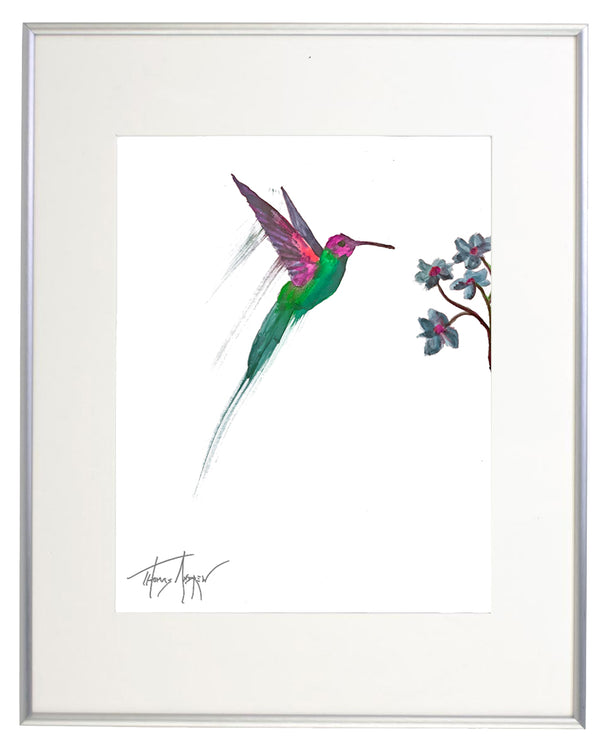 Hummingbirds 05a