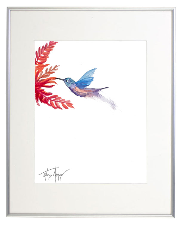 Hummingbirds 06