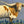 Load image into Gallery viewer, Longhorn #01