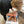 Load image into Gallery viewer, Paint Your Pet In-Person Workshop / May 31, 2025