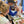 Load image into Gallery viewer, Paint Your Pet In-Person Workshop / May 31, 2025
