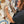 Load image into Gallery viewer, Paint Your Pet In-Person Workshop / May 31, 2025