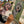 Load image into Gallery viewer, Paint Your Pet In-Person Workshop / May 31, 2025