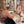 Load image into Gallery viewer, Paint Your Pet In-Person Workshop / May 31, 2025