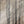 Load image into Gallery viewer, Naked Trees series #135