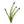 Load image into Gallery viewer, Wild Flower on Paper #4593