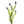 Load image into Gallery viewer, Wild Flower on Paper #4595