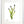 Load image into Gallery viewer, Wild Flower on Paper #4595