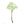 Load image into Gallery viewer, Wild Flower on Paper #4598
