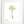 Load image into Gallery viewer, Wild Flower on Paper #4598