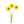 Load image into Gallery viewer, Wild Flower on Paper #4610