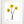 Load image into Gallery viewer, Wild Flower on Paper #4618