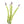 Load image into Gallery viewer, Wild Flower on Paper #4619