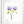 Load image into Gallery viewer, Wild Flower on Paper #4623
