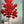 Load image into Gallery viewer, Red Trees series #40