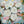 Load image into Gallery viewer, Floral Essence #08