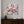 Load image into Gallery viewer, Floral Essence #07