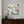 Load image into Gallery viewer, Floral Essence #08