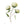Load image into Gallery viewer, Wild Flower on Paper #9264