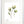 Load image into Gallery viewer, Wild Flower on Paper #9264
