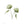 Load image into Gallery viewer, Wild Flower on Paper #9265