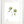Load image into Gallery viewer, Wild Flower on Paper #9265