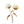 Load image into Gallery viewer, Wild Flower on Paper #9266