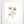 Load image into Gallery viewer, Wild Flower on Paper #9266