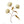 Load image into Gallery viewer, Wild Flower on Paper #9269
