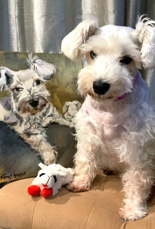 Hand-Painted Pet Portrait Commission / Free Shipping!