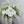 Load image into Gallery viewer, White Flowers #05