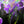 Load image into Gallery viewer, "Blowing Jazz" V2 / Print by Thomas Andrew - Thomasandrewartwork