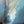 Load image into Gallery viewer, "Blue Naked Trees" print by Thomas Andrew - ThomasAndrewArtwork
