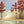 Load image into Gallery viewer, "Autumn's Crimsons" - Maples by the Marsh Series