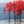 Load image into Gallery viewer, "Lady Winter's Rouge" Print by Thomas Andrew - Thomasandrewartwork
