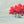 Load image into Gallery viewer, "Red Cluster" series #1 / print by Thomas Andrew - ThomasAndrewArtwork