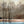 Load image into Gallery viewer, "Naked Trees #5" print by Thomas Andrew - ThomasAndrewArtwork