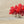 Load image into Gallery viewer, "Red Cluster" series #5 / print by Thomas Andrew - ThomasAndrewArtwork