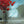 Load image into Gallery viewer, "Reds Down by the River" print by Thomas Andrew - ThomasAndrewArtwork