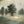 Load image into Gallery viewer, "The Grove" print by Thomas Andrew - ThomasAndrewArtwork