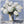 Load image into Gallery viewer, "White Hydrangeas #3"