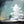 Load image into Gallery viewer, "White Majestic" Diffused Glow / Print by Thomas Andrew - Thomasandrewartwork