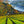 Load image into Gallery viewer, "Wine Country #11" print by Thomas Andrew - ThomasAndrewArtwork