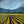 Load image into Gallery viewer, "Wine Country #13" print by Thomas Andrew - ThomasAndrewArtwork