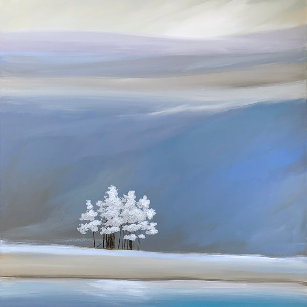 "Winter's Calm"