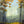 Load image into Gallery viewer, "Yellow Trees by the Water #1"