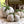 Load image into Gallery viewer, CONCRETE PUMPKIN In-Studio CLASS for Adults / August 22
